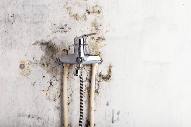 Best Mold Testing and Inspection Services in Hillburn, NY